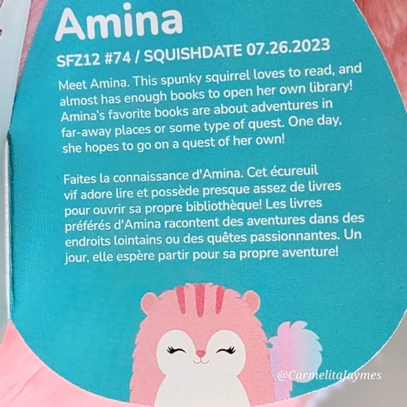 💛 AMINA 🐿️ULTRA RARE Pink Rainbow Squirrel FuzzAMallow Squishmallow NWT books - Picture 4 of 9